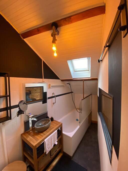 Petit Duplex Cocooning Lejlighed Férel Eksteriør billede